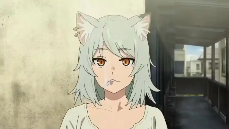 Anime Chainsmoker Cat Yaniko S - Anime Cosplay Cat recensie en prijs